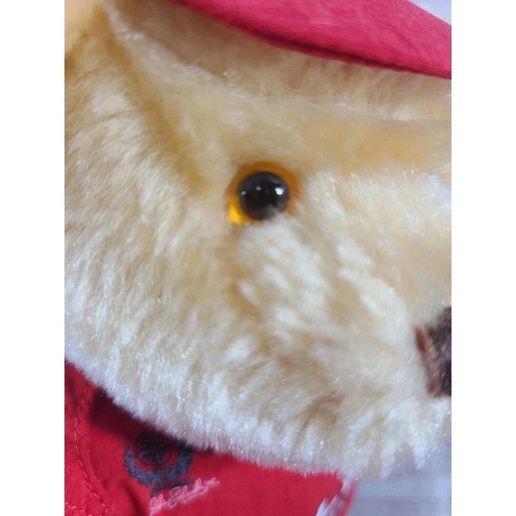 Dale Earnhardt Jr Plush Teddy Bear Stuffed Animal Nascar Auto Racing 11" - Picture 4 of 6